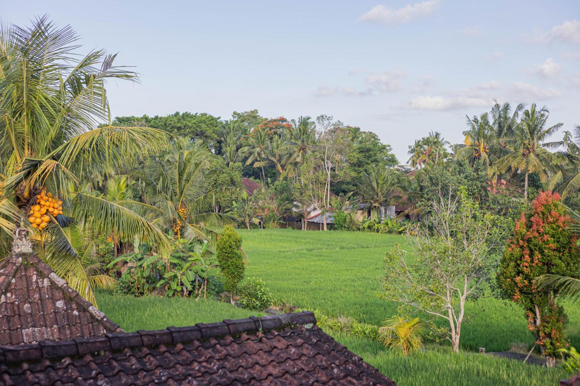 Sari Bamboo Bungalows Ubud Pokój zdjęcie